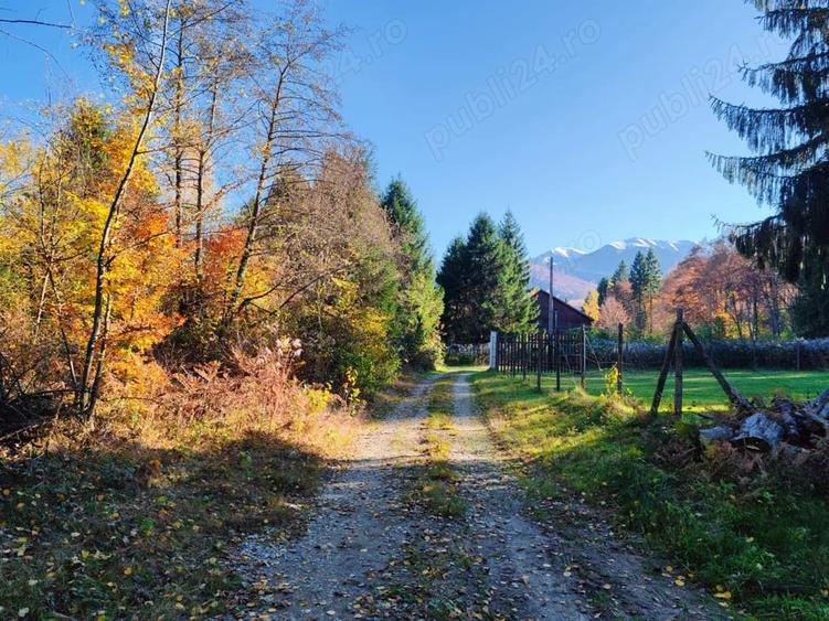 600 mp,800 mp,1000 mp,1600 mp teren Valea Avrigului,Sibiu - 6