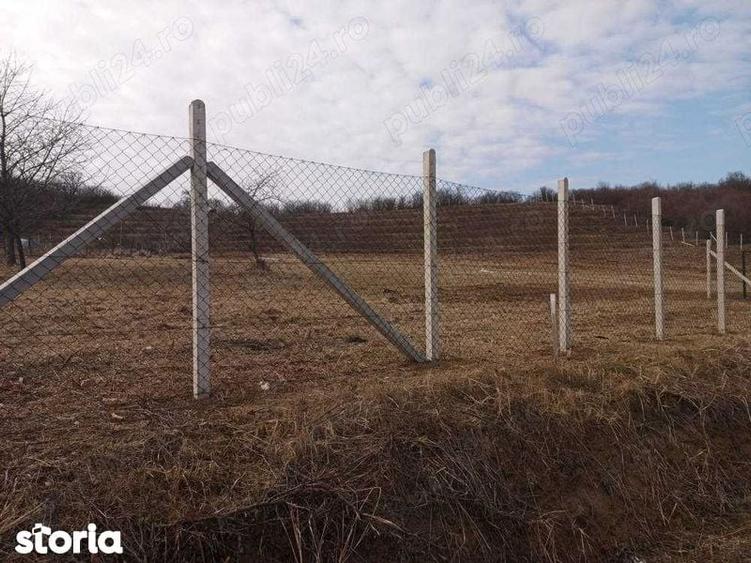 Teren de 9500 mp, în Podgoria