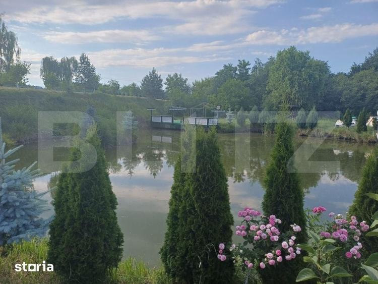 Teren intravilan 60 ari cu iaz si cabana, zona Ilisesti - 7