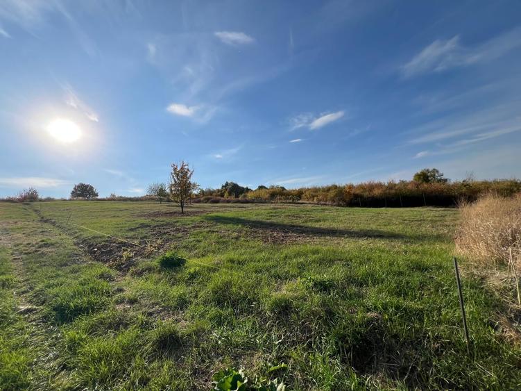 Teren de 1240 mp, în Vlădiceni