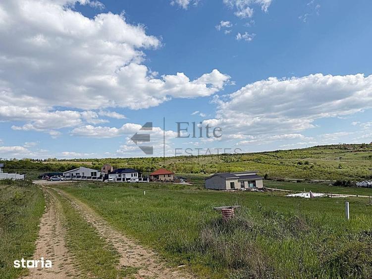 Teren de 738 mp, în Paleu