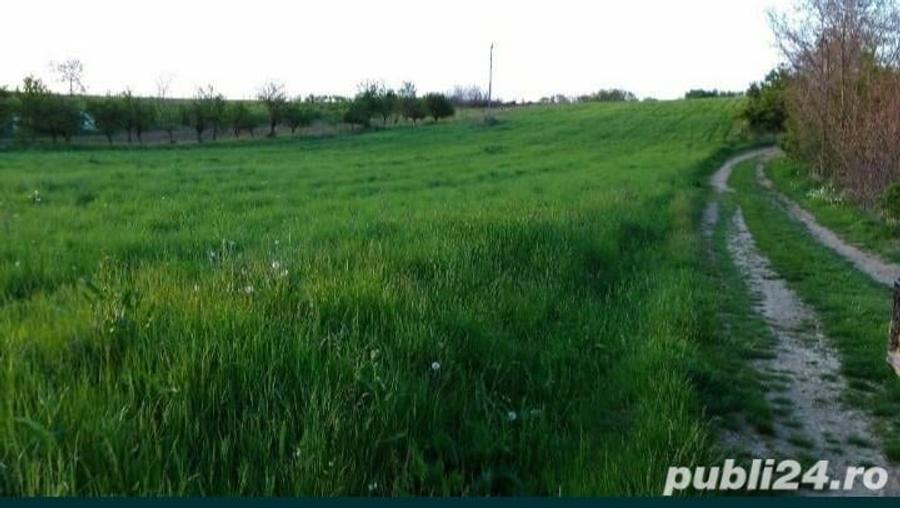 Teren în Albota