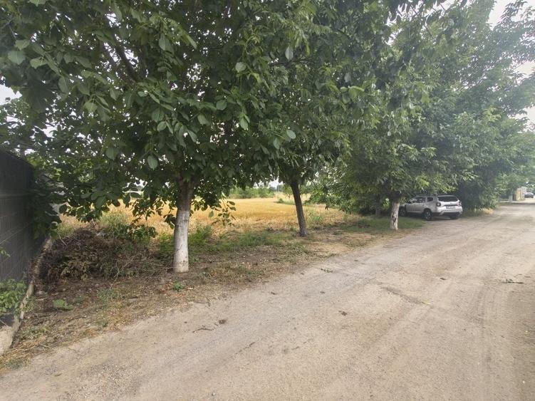 Spațiu comercial, în Cazasu
