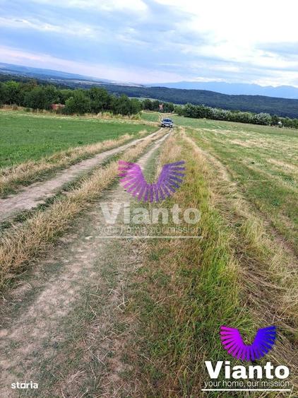 Oportunitate-Teren Extravilan 3100 mp cu vedere Panoramica-Tropinii No - 8