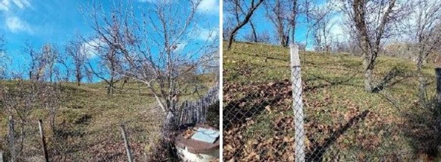 Teren de 2894 mp, în Vistieru