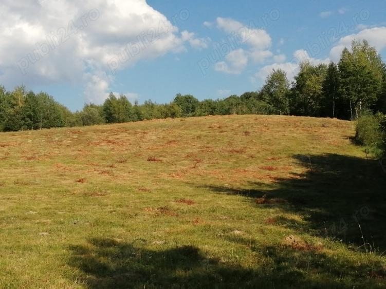 Teren de 20000 mp, în Ciucea