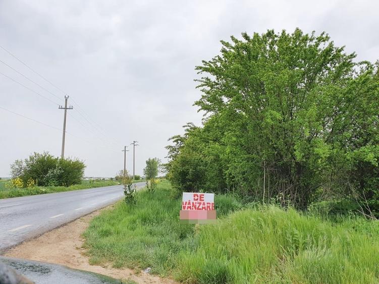 Teren agricol extravilan de 2672 mp, în Vidra