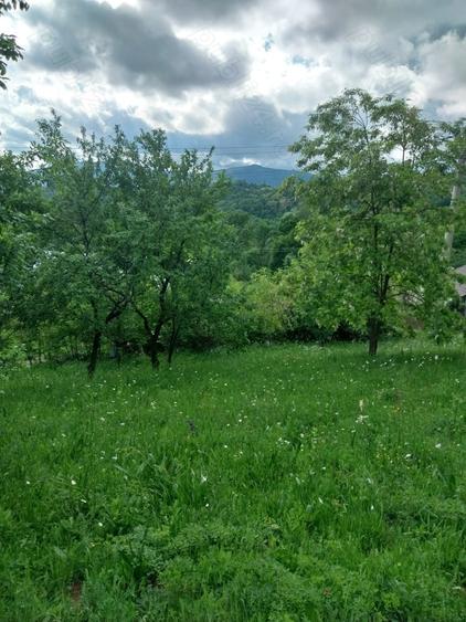 Teren de 3150 mp, în Poiana