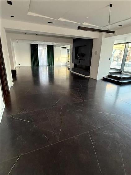Penthouse cu 7 camere decomandat în Tei
