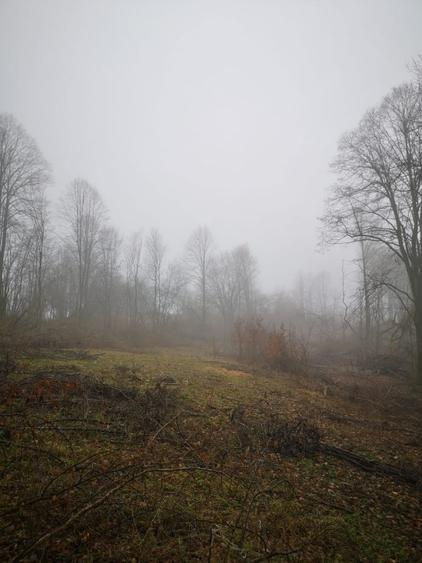 Teren intravilan de 3186 mp, în Certeju de Sus