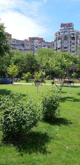 Garsonieră decomandată în Crângași