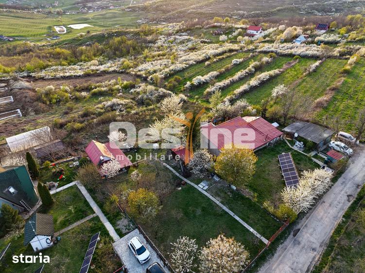 Teren de 900 mp, în Bârnova