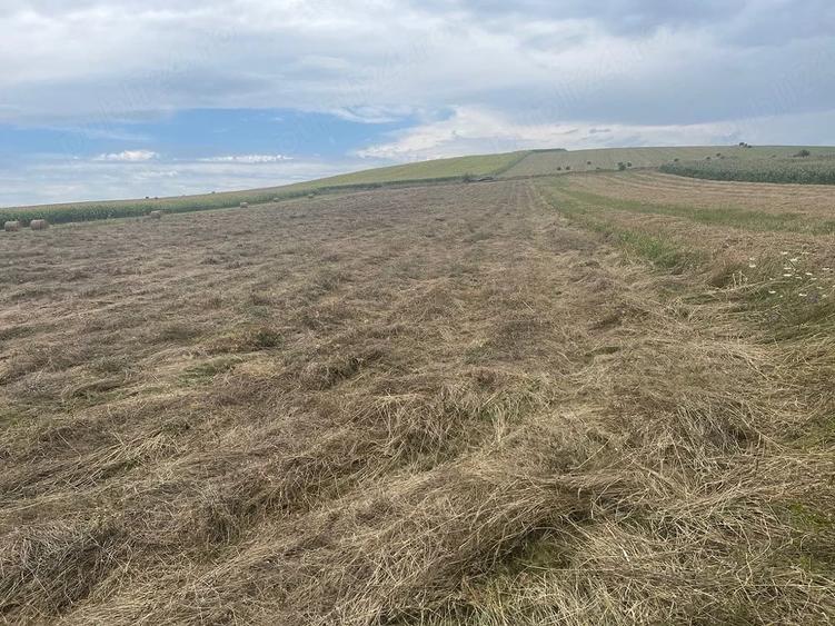 Teren de 2900 mp, în Gilău