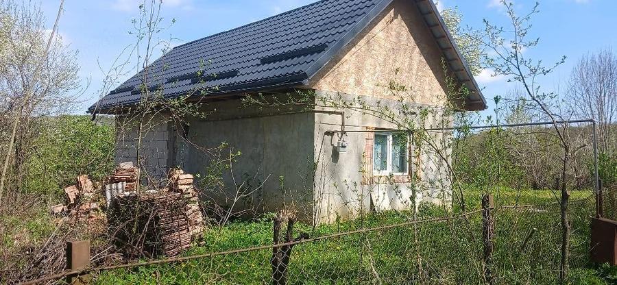 Casă cu Teren 8000 Mp în Mădăraș