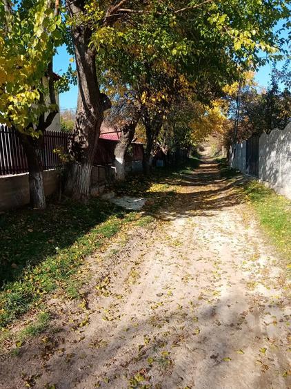 Casă cu 2 camere în Central