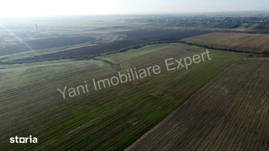 Teren de 10000 mp, în Căteasca