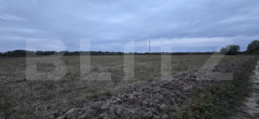 Teren agricol extravilan de 17545 mp, în Est