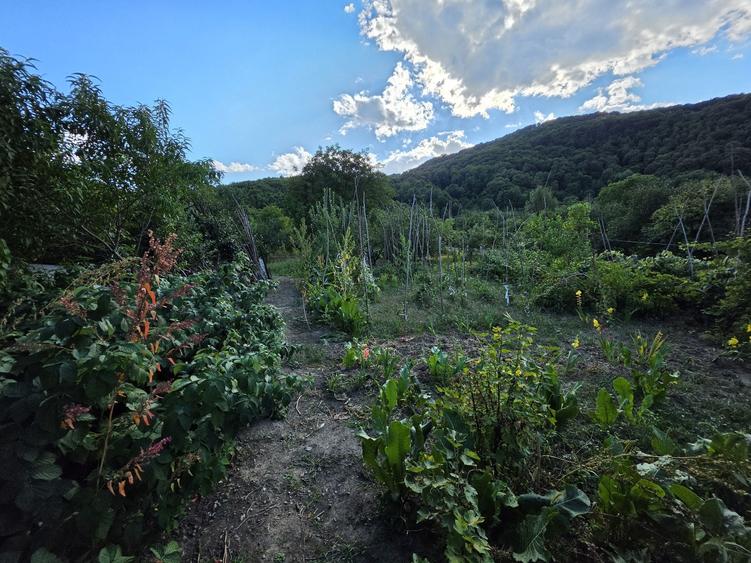 Casă cu 3 camere în Central