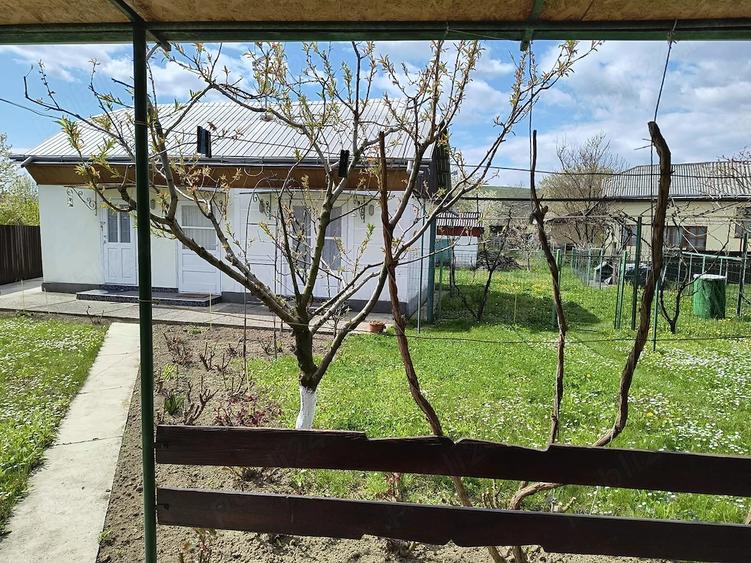 Casă cu 3 camere cu Teren 2700 Mp în Central