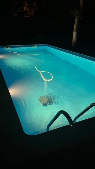 Casă individuală cu 6 camere cu Piscina în Iancu Nicolae