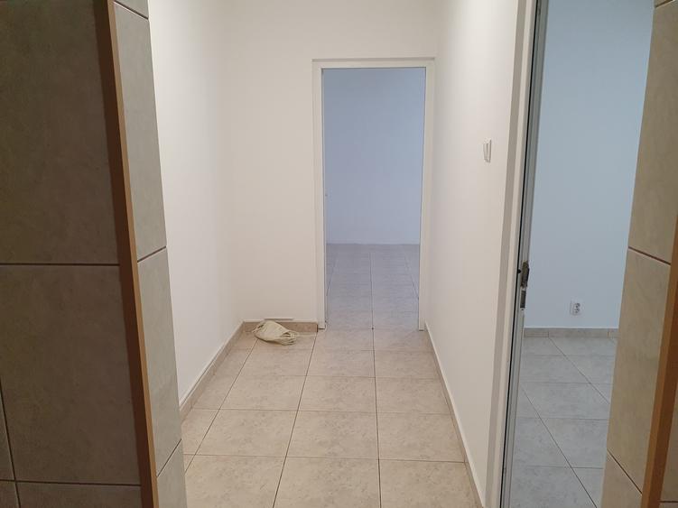 Apartament cu 2 camere decomandat în Timișoara