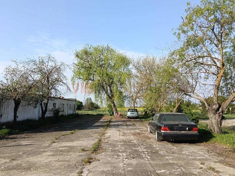 Teren de 25000 mp, în Călacea