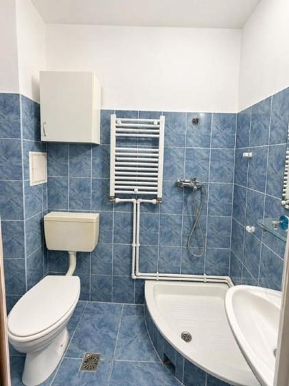 Apartament cu 2 camere decomandat, mobilat în Bd. Coșbuc