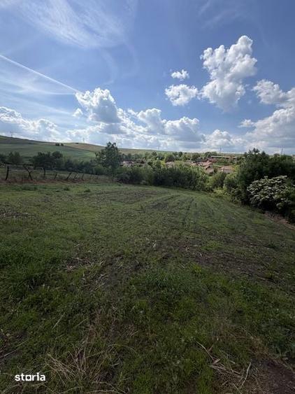 Casă cu 3 camere cu Teren 29000 Mp în Central