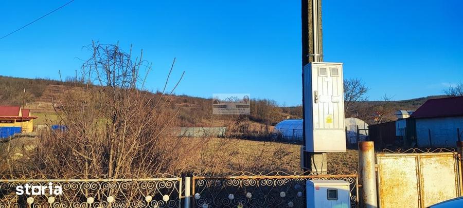 Teren de 3129 mp, în Homocea