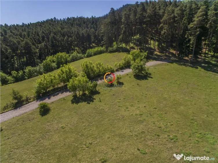 13 locuri de casa-pensiune, segmentul investitional, PUZsiPU - Sacele (Brasov) - 2