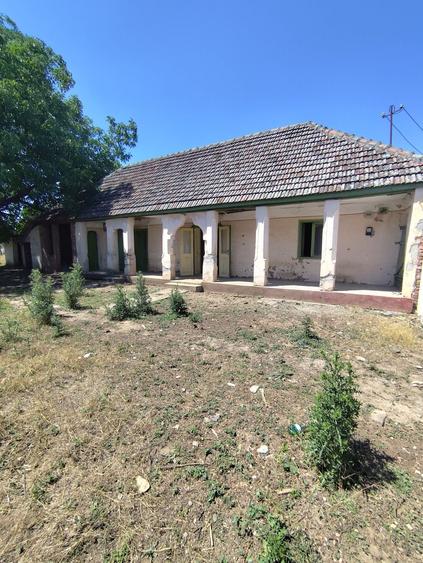 Casă cu 3 camere în Central