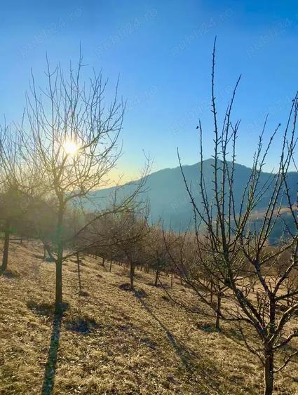 Teren în Buceș