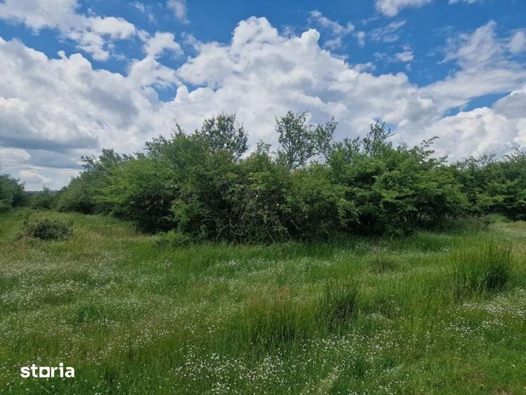 Teren de 3006 mp, în Mărășești
