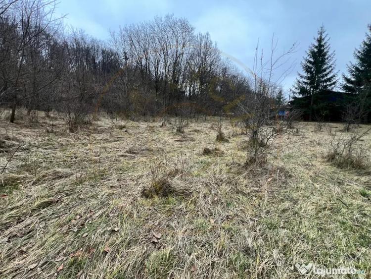 Teren de 6500 mp, în Morărești