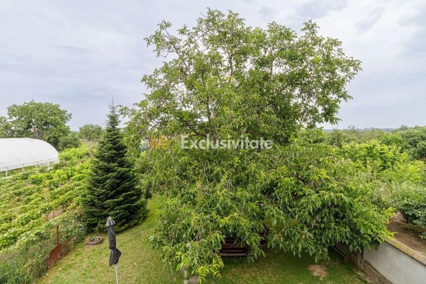 Casă cu 5 camere cu Teren 1537 Mp în Cornetu