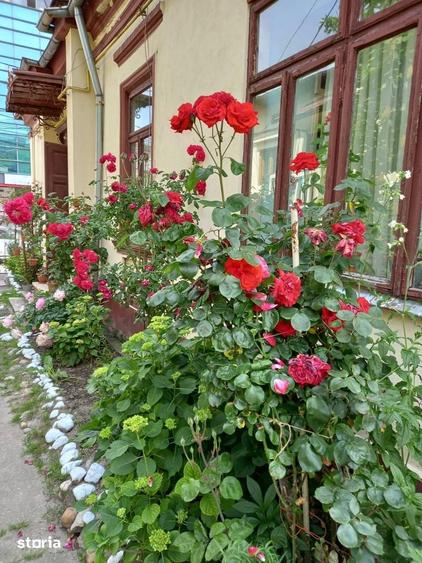 Casa cu teren vanzare/inchiriere Pitesti centru - 9