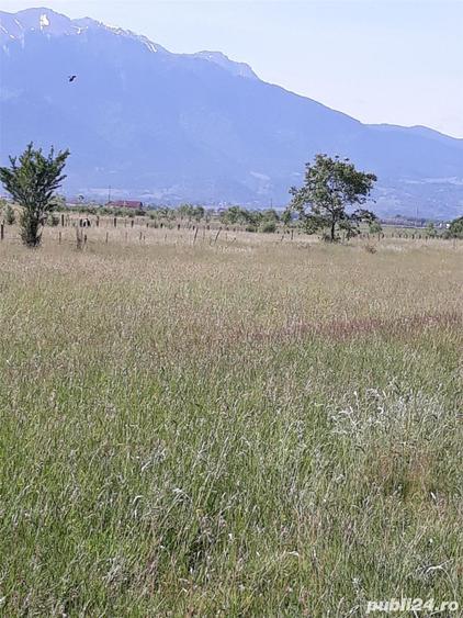 Teren de 8600 mp, în Central