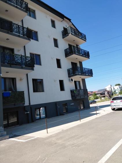 Apartament in Dobroiesti - 4