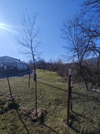 Teren de 2300 mp, în Bărbătești