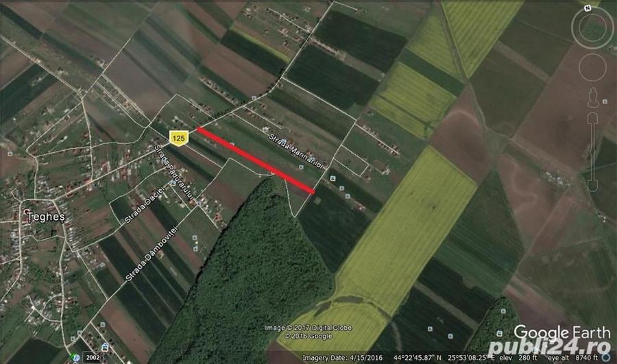 Teren de Vanzare Ilfov Domnesti - Teghes - 5