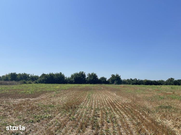 Teren de 1200 mp, în Balotești