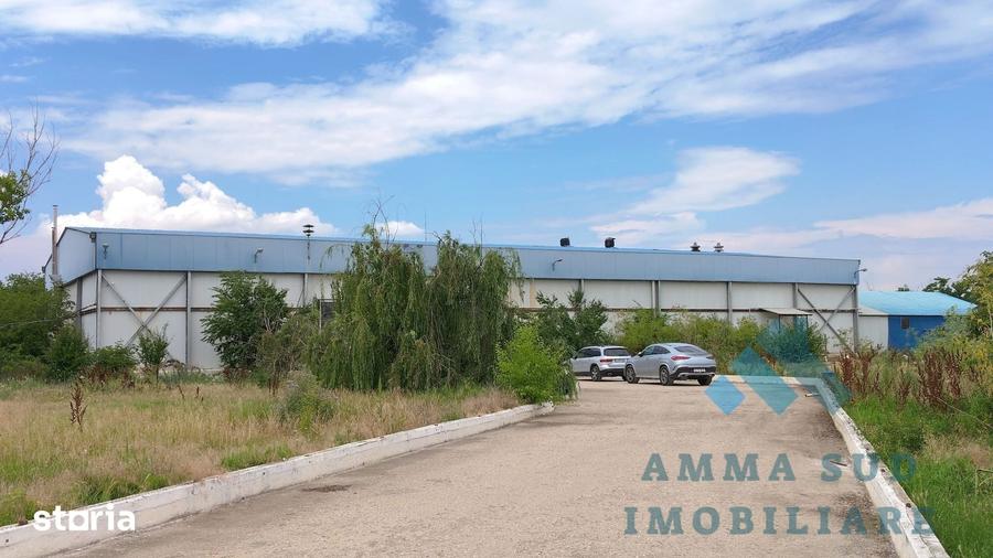 Hala Productie Abator - 1.000 mp - 5.000 mp teren - Sos. Oltenitei DN4 - 1