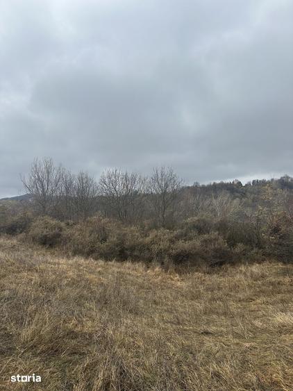 Teren de 2050 mp, în Central