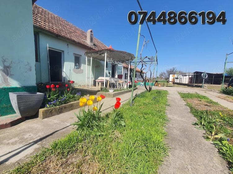 Casă cu Teren 1996 Mp în Giulvăz