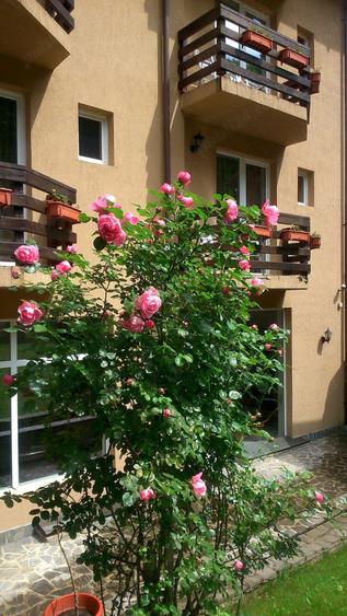 Casă cu 15 camere cu Teren 500 Mp în Platoul Izvor