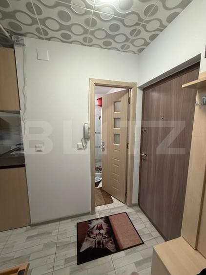 Apartament cu 2 camere semidecomandat, mobilat în Mihai Bravu