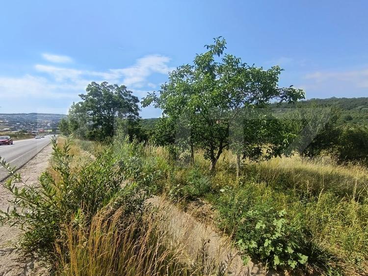 Teren intravilan, de vanzare, 1252 mp, zona Arghires - 2