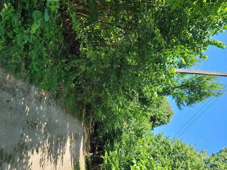 Teren în Stațiunea Climaterică Sâmbăta