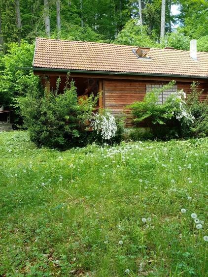 Casă cu 2 camere cu Teren 300 Mp în Central