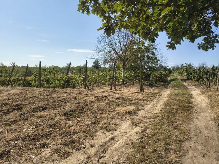 Casă cu 2 camere în Bocsig